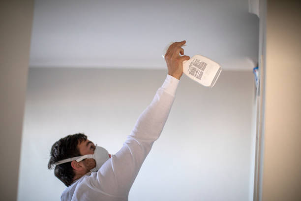 Best Certified Mold Removal  in Navasota, TX