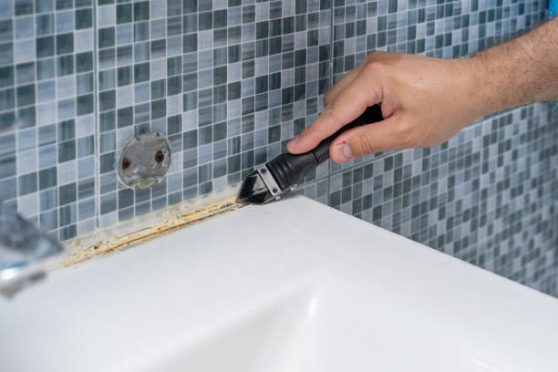Best Commercial Mold Removal  in Navasota, TX